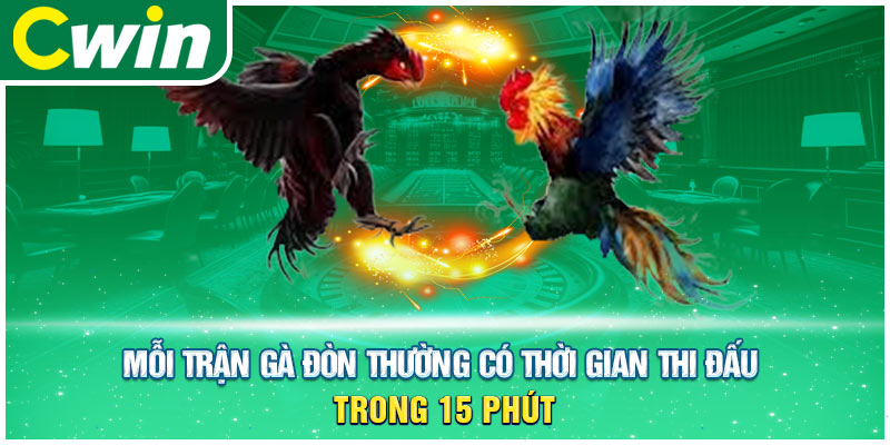 Mỗi trận gà đòn thường có thời gian thi đấu trong 15 phút