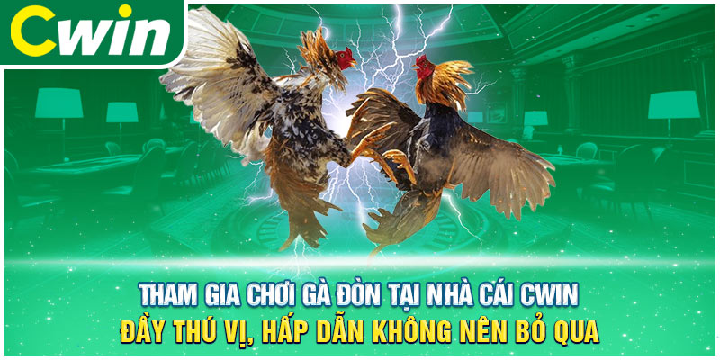 Gà đòn tạo nên sự thích thú đầy kịch tính cho người chơi tham gia