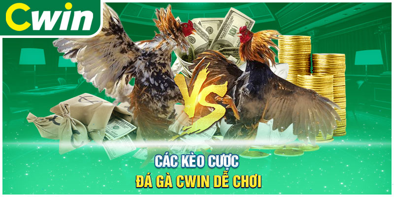 Các kèo cược đá gà cwin dễ chơi