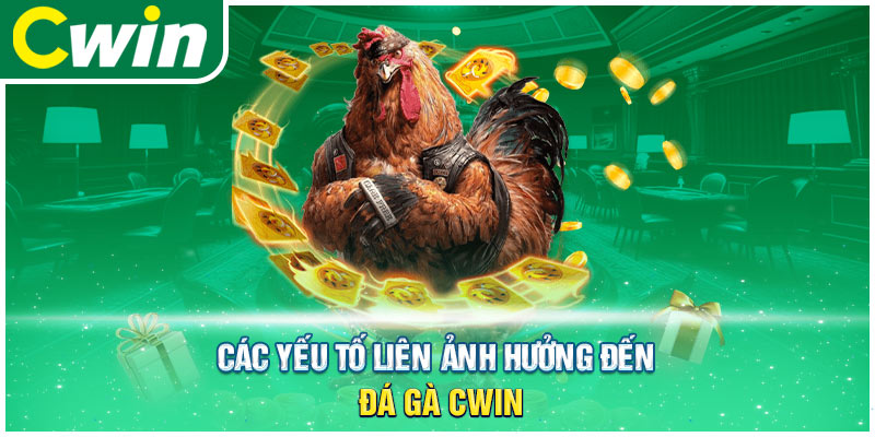 Các yếu tố liên ảnh hưởng đến đá gà cwin