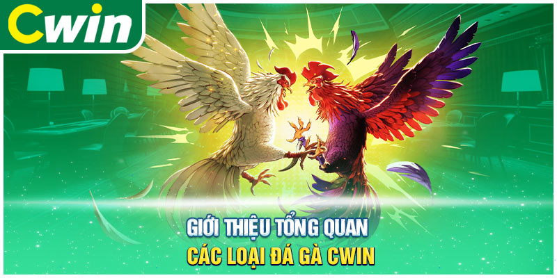 Giới thiệu tổng quan các loại đá gà cwin